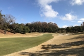 Hole 15