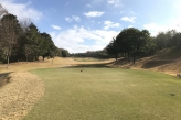 Hole 15